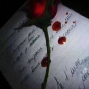 Meet your Posher, Cheyenne